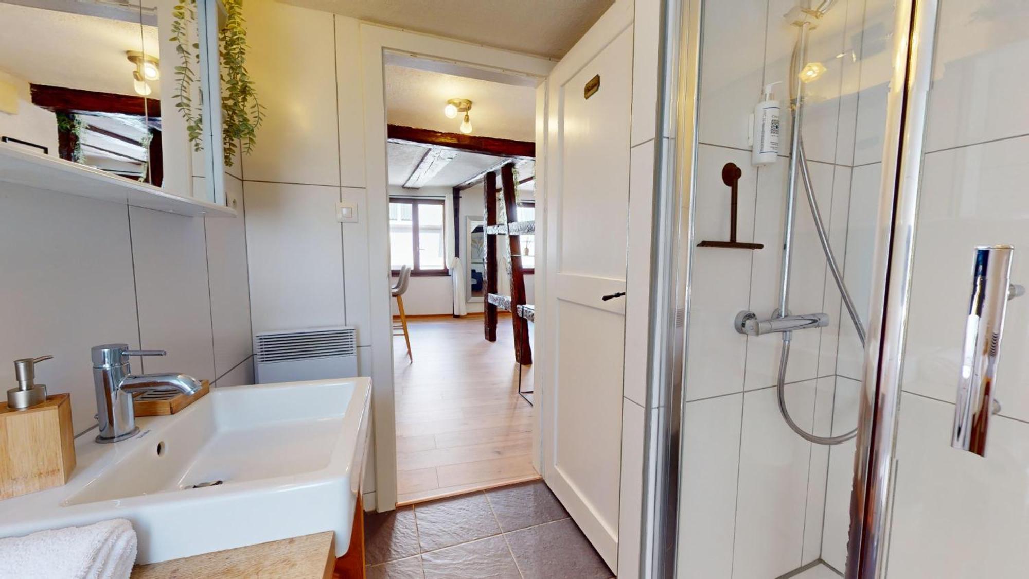 Au Petit Vauban 2 Chambres & Parking Colmar Bagian luar foto